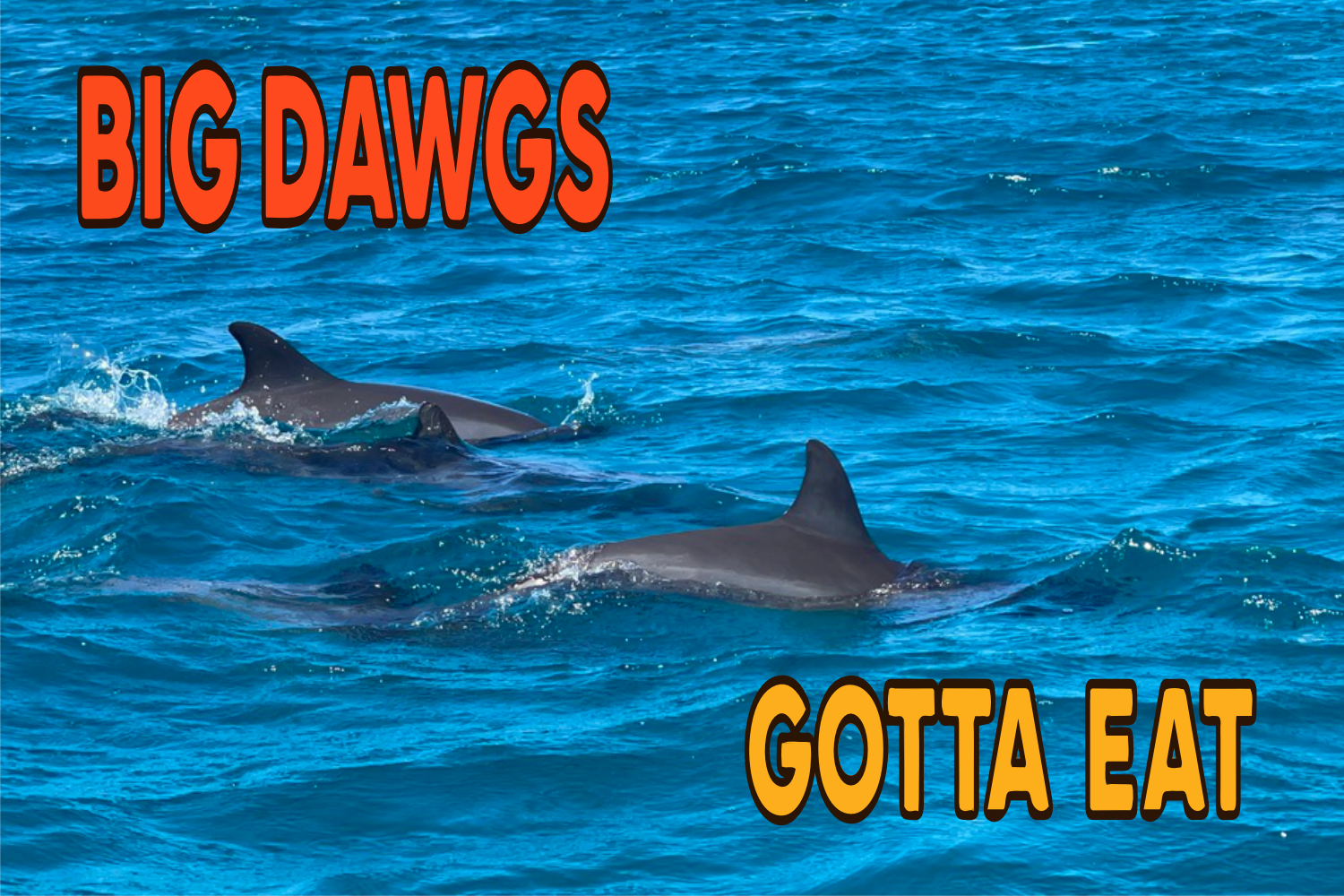 Big Dawgs Gotta Eat Stickers "Everything BUT Dawgs" Pack