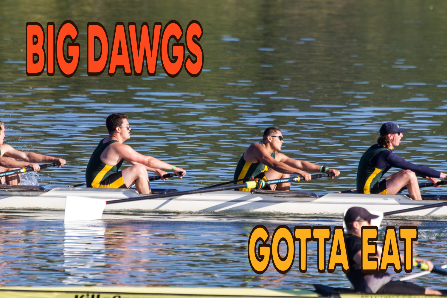 Big Dawgs Gotta Eat Stickers "Everything BUT Dawgs" Pack